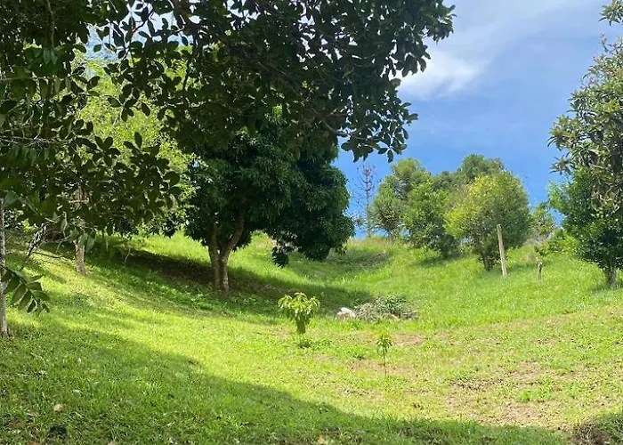 Chacara De Paula